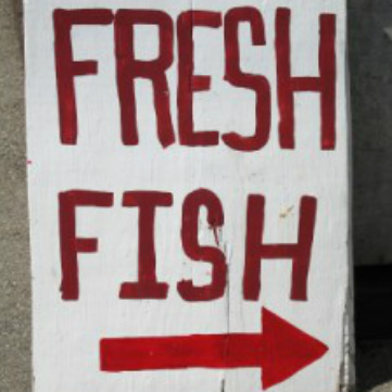 Definizione di pesce fresco