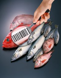 Etichettatura pesce